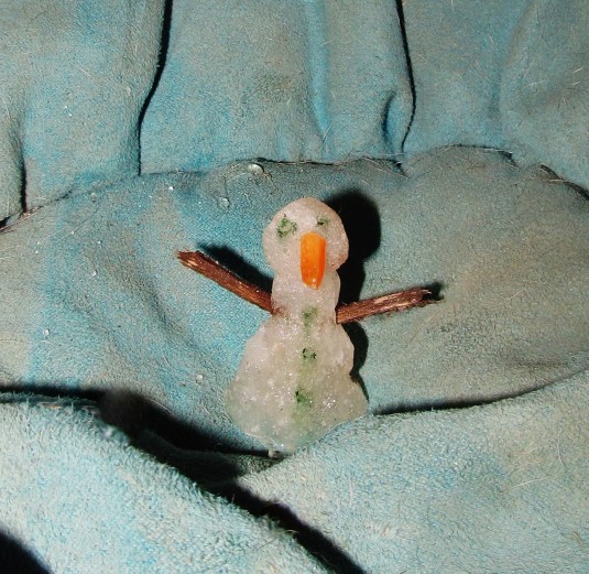 Tiniest Snowman by Rocky Ridge Refuge