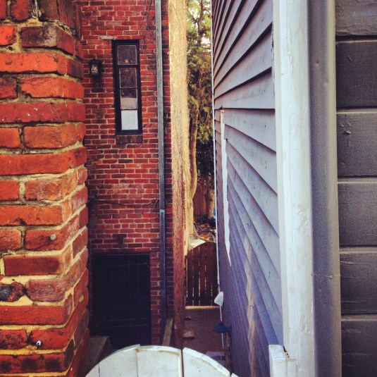 Blind Corner by Liv Schoffstall