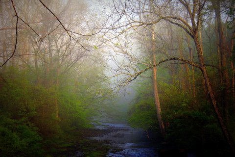 Cedar Run in Fauquier County, VA