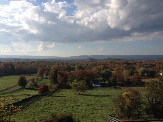 A Child's View of Fauquier by Michael Webert