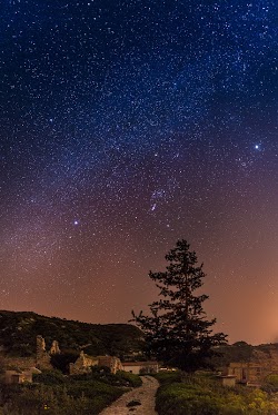 Star Gazing by Tomasz Huczek