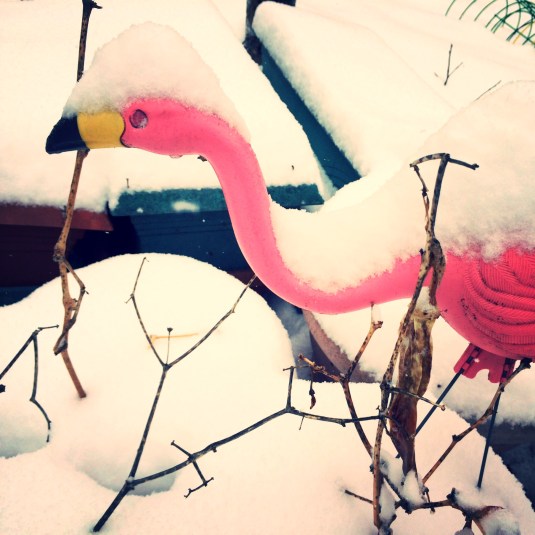 Bad Year to Skip Migration by Sarah Gulick