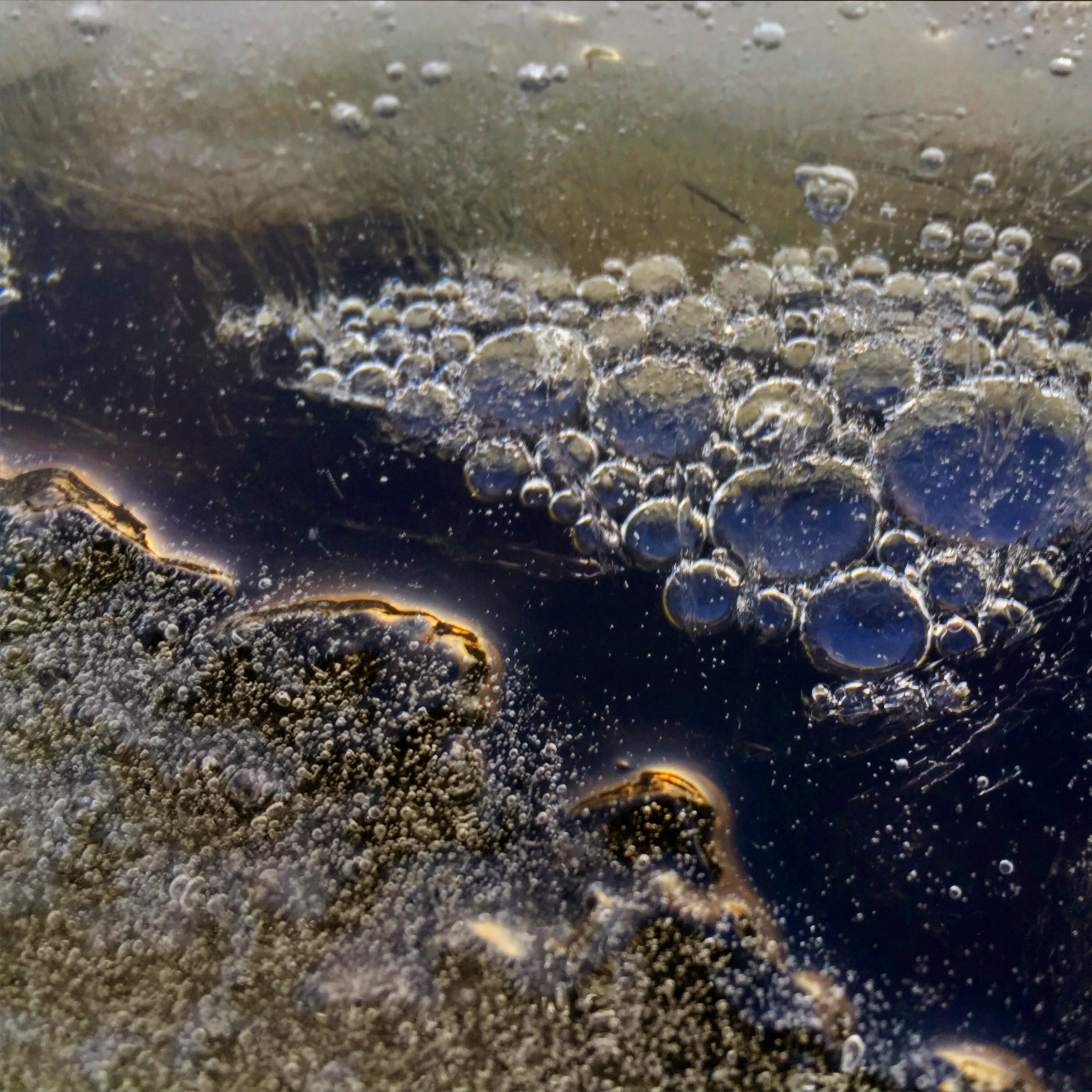 Ice Bubbles By Sarah Gulick