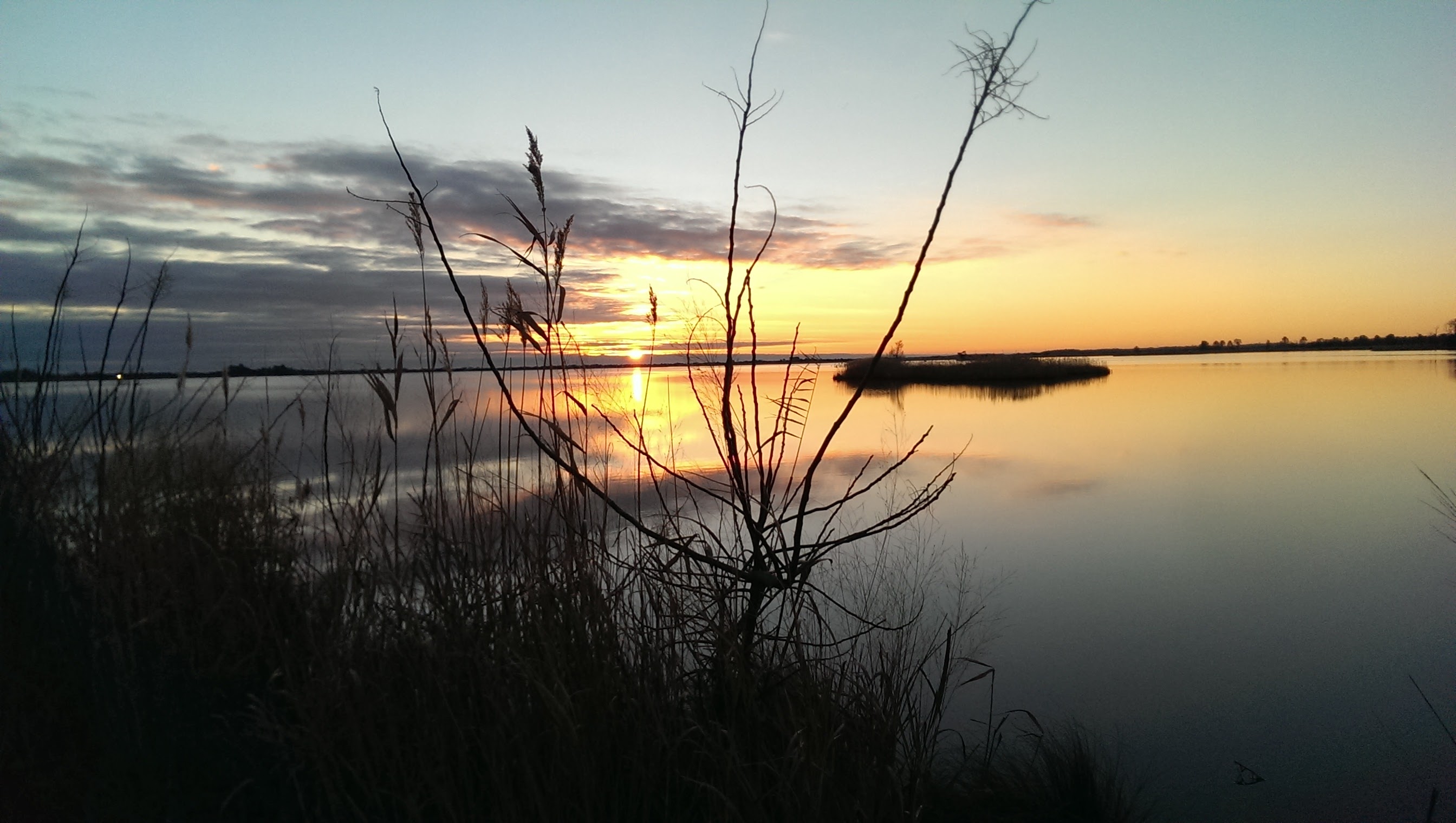 Prim Hook National Wildlife Refuge by Timmy Miller