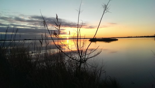Prim Hook National Wildlife Refuge by Timmy Miller