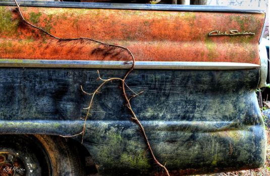 55 &amp; Vine by Rick Martin