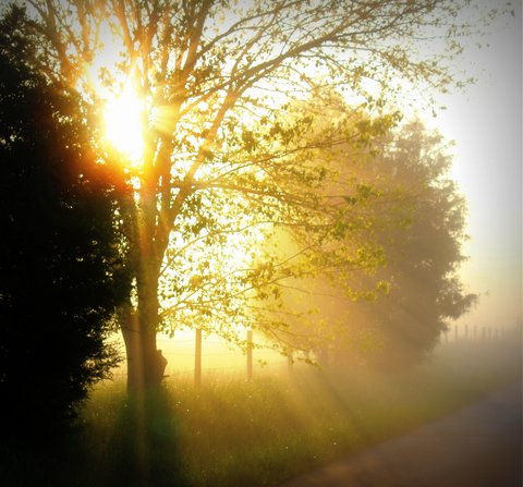 old-auburn-road-by-cecilia