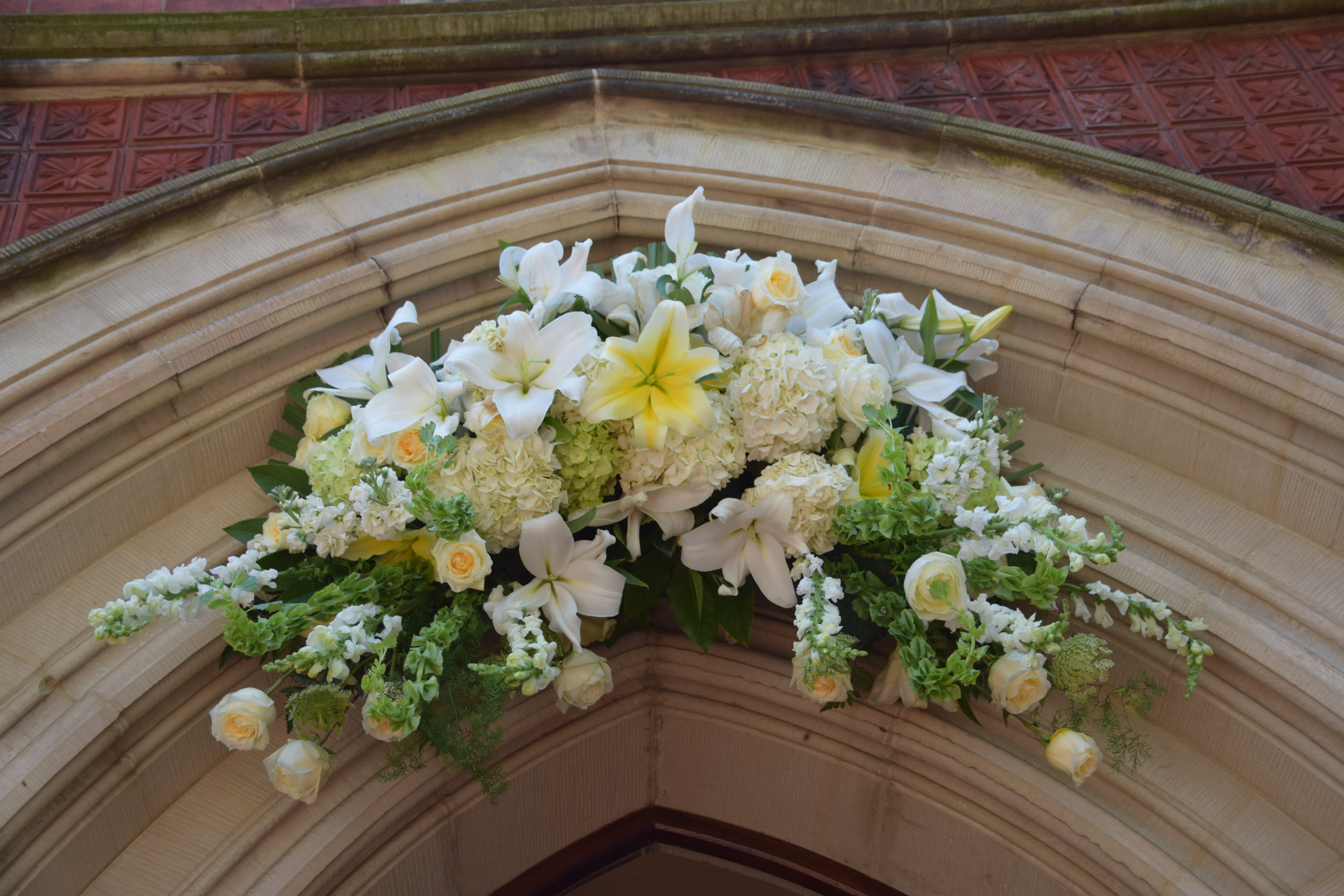 Look Up by Jen Ayers