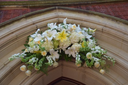 Look Up by Jen Ayers