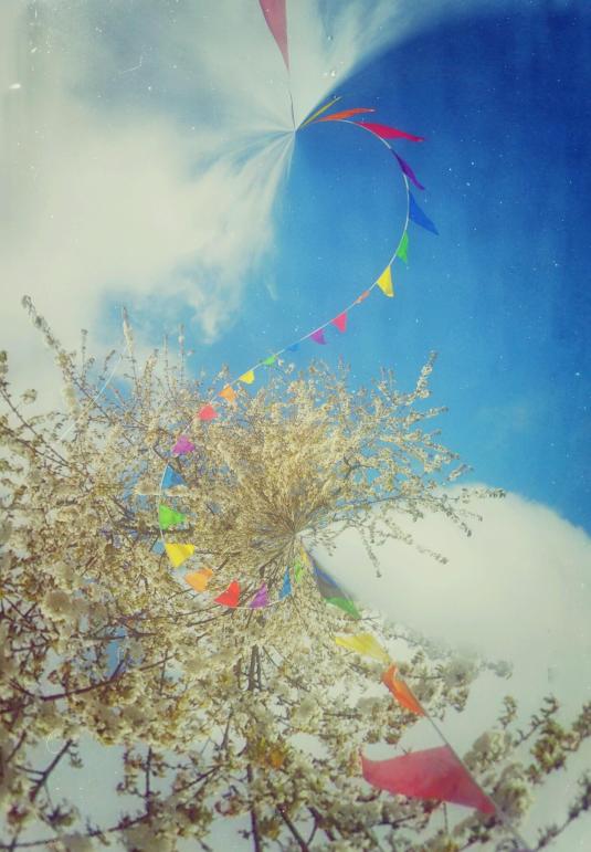 Flags and Flowers by Heidi Ann Morris