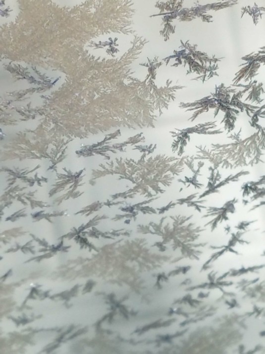 Frosty View by Kira Skala Dec 18