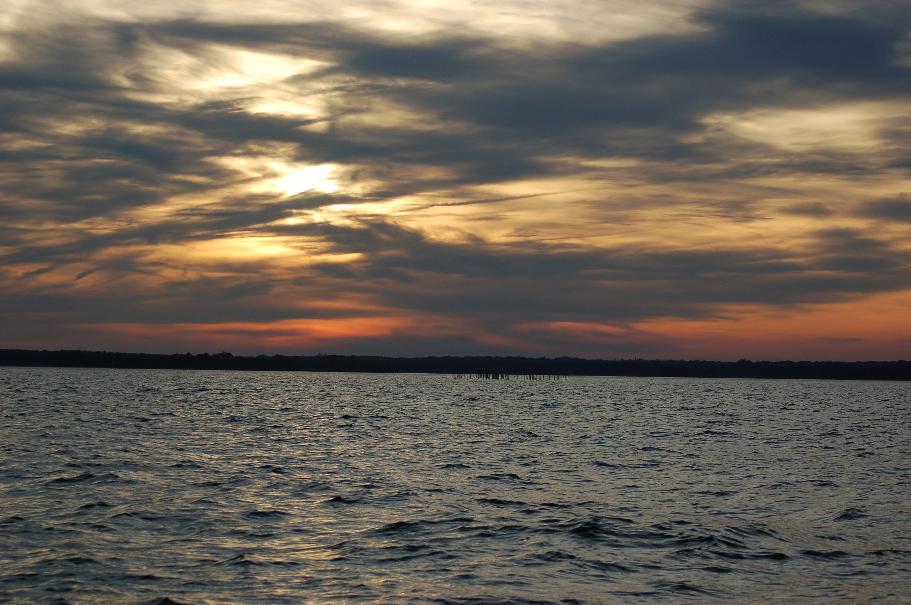 without a care by june loving oct 2018