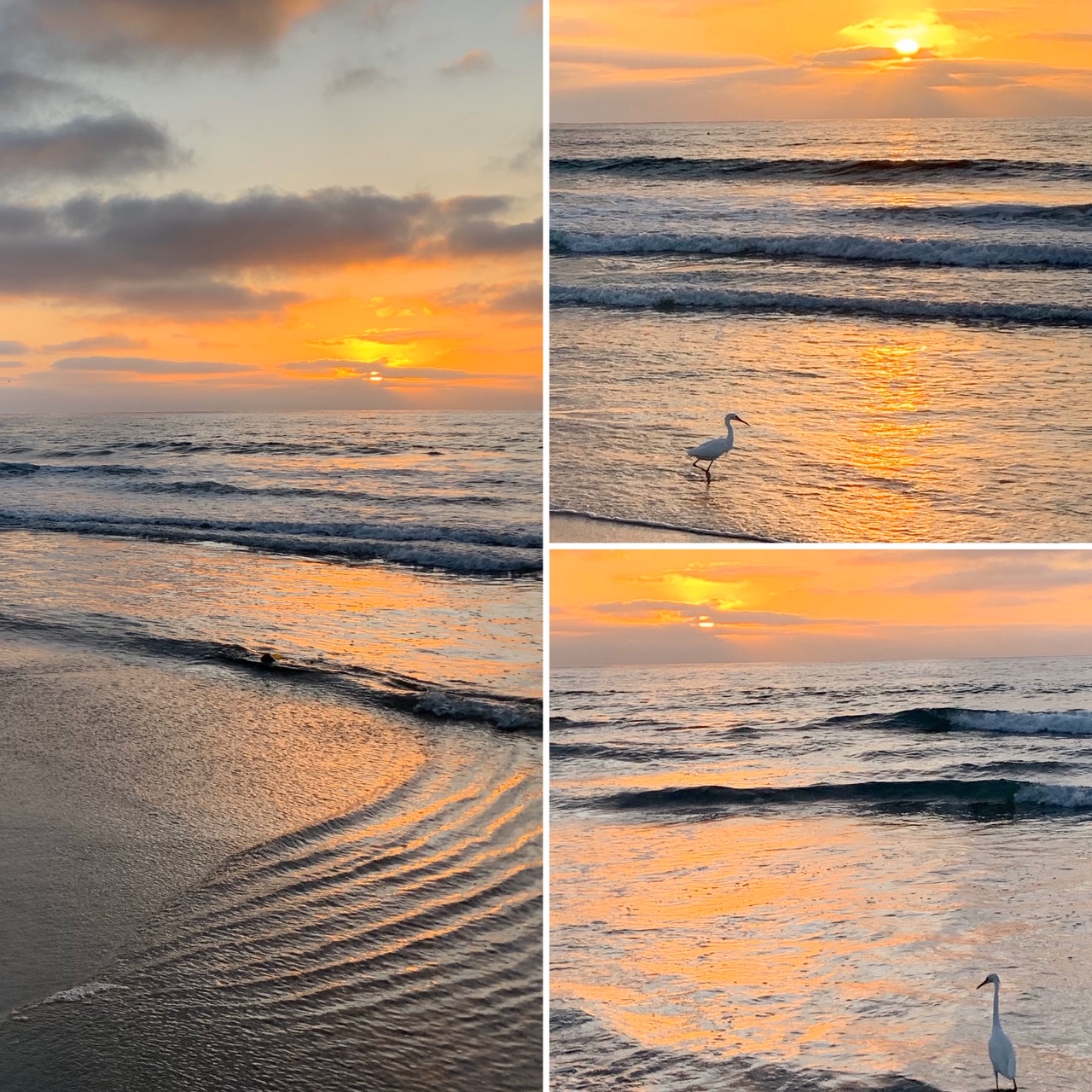 Beach and Beyond by Gillian Barr Nov 2019