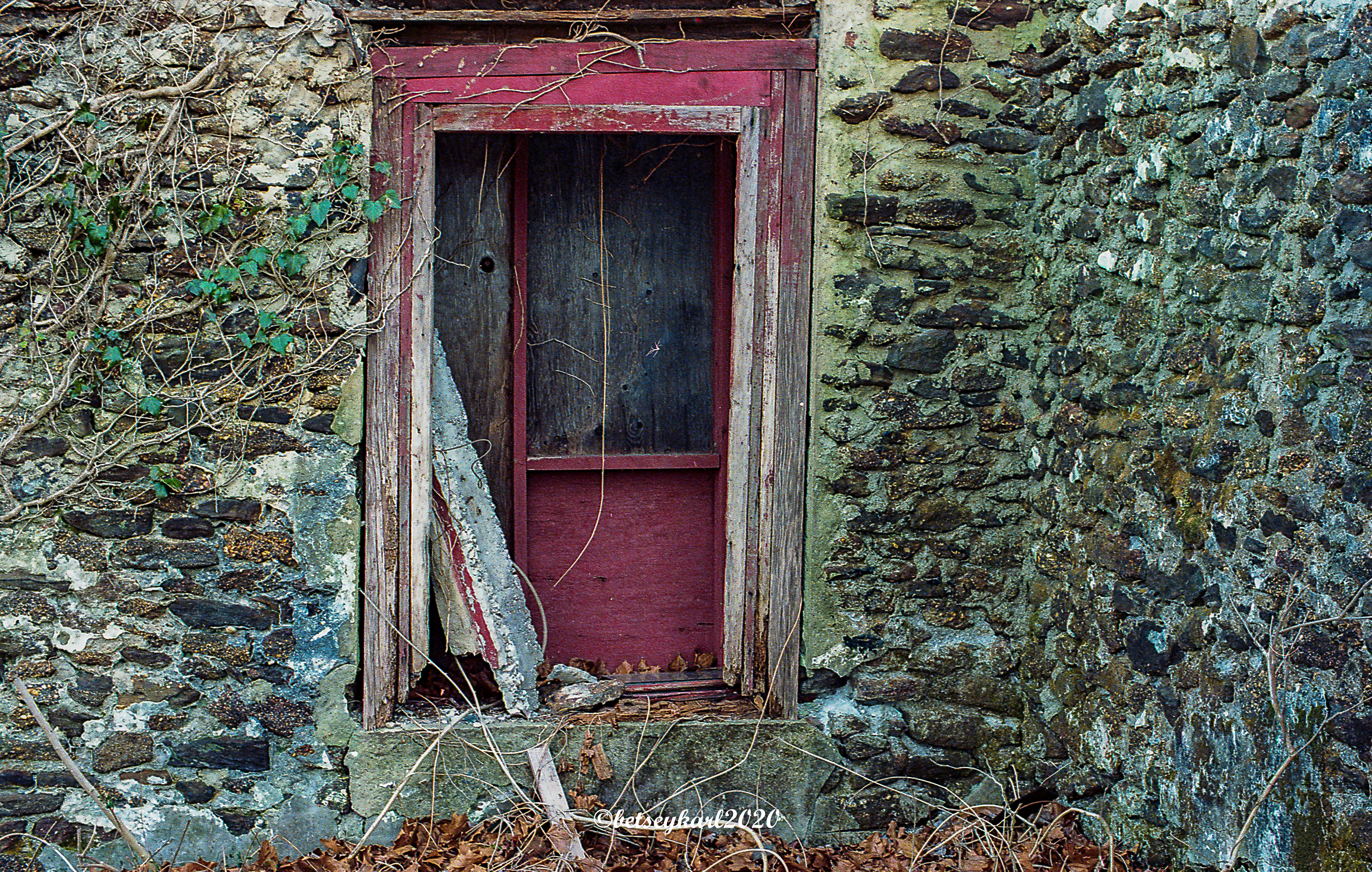 red door by Betsey Karl 20200305