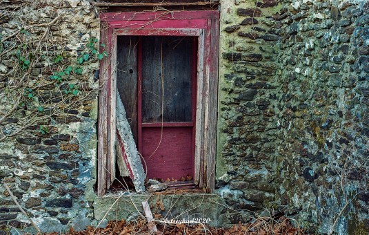 red door by Betsey Karl 20200305