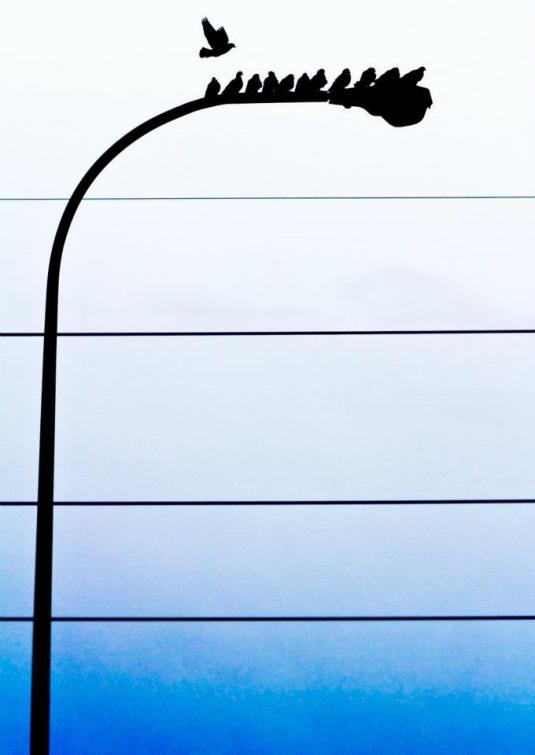 Should I stay or should I go Ullenius