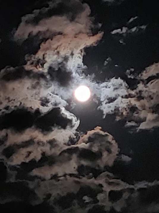 Pretty in Pink by sis97y