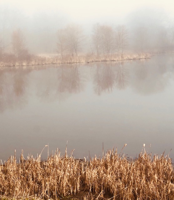 Long View by Jeff McCord