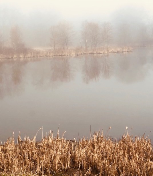 Long View by Jeff McCord